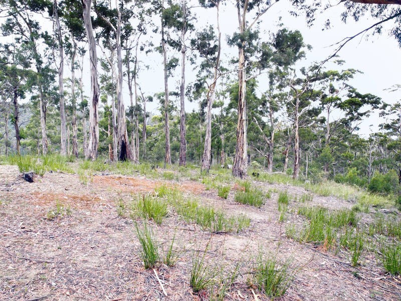 Lot 2, 263 Whittons Road, Kettering TAS 7155