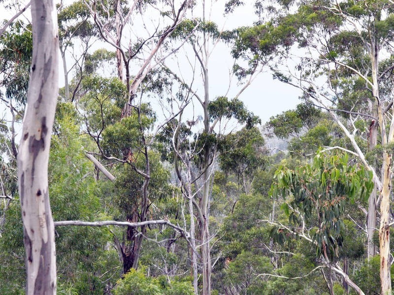 Lot 2, 263 Whittons Road, Kettering TAS 7155