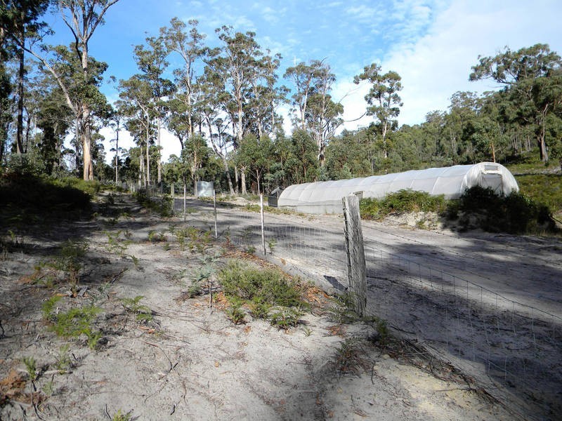 98 Cornishs Road, Elderslie TAS 7030