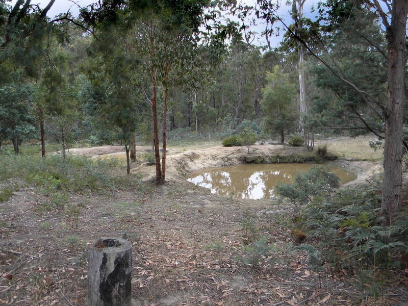 98 Cornishs Road, Elderslie TAS 7030