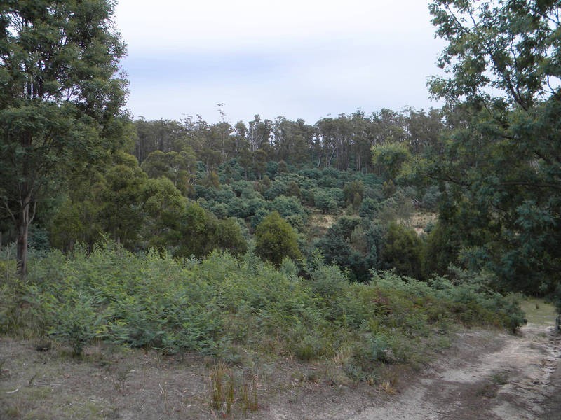 98 Cornishs Road, Elderslie TAS 7030