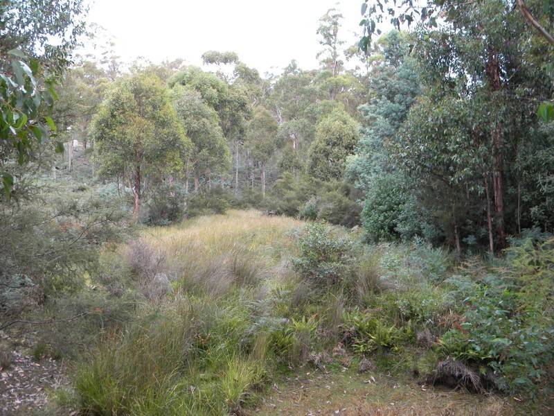 98 Cornishs Road, Elderslie TAS 7030