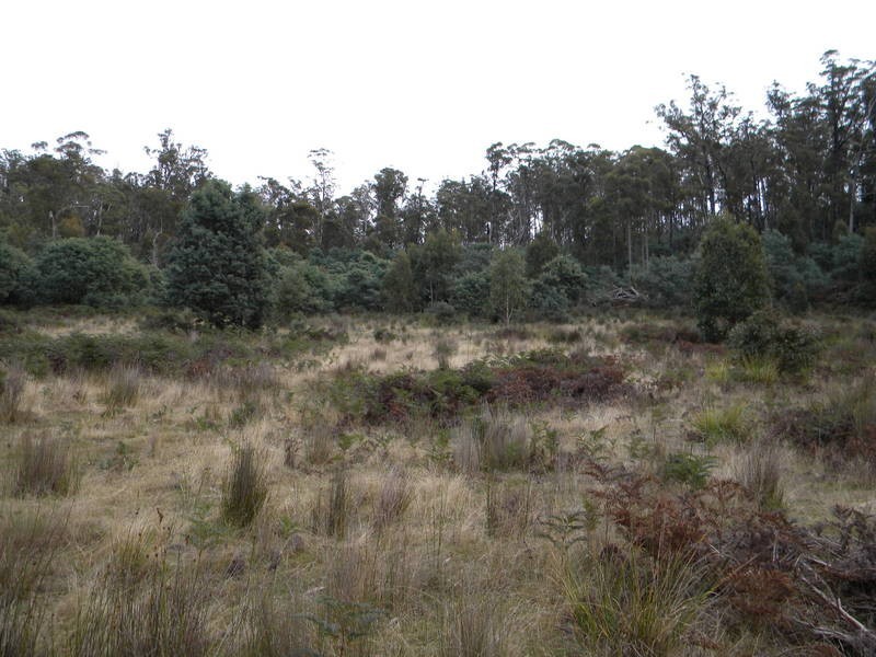 98 Cornishs Road, Elderslie TAS 7030