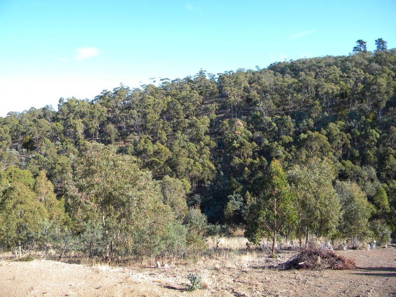 39 Tongatabu Road, Dromedary TAS 7030
