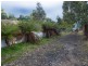 3331 Gordon River Road, Fitzgerald TAS 7140