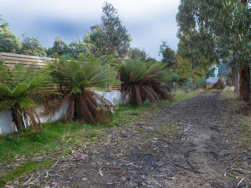 3331 Gordon River Road, Fitzgerald TAS 7140