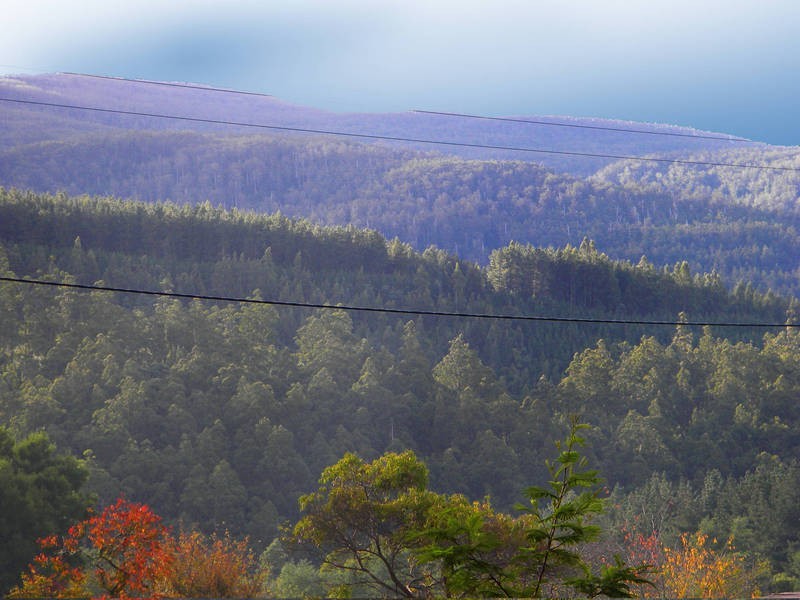 3331 Gordon River Road, Fitzgerald TAS 7140