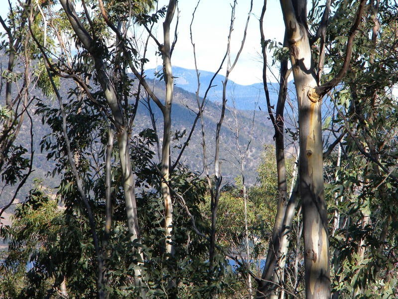 75 Tongatabu Road, Dromedary TAS 7030