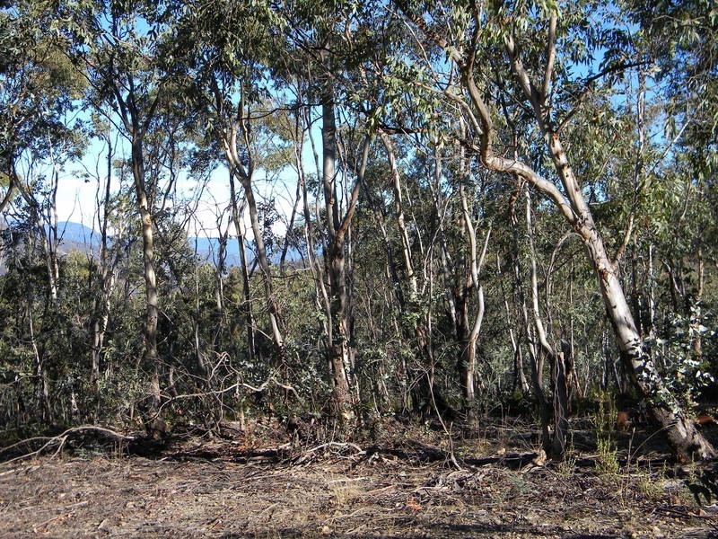 75 Tongatabu Road, Dromedary TAS 7030