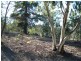 75 Tongatabu Road, Dromedary TAS 7030