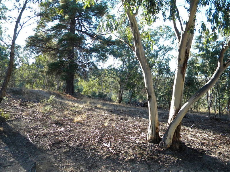 75 Tongatabu Road, Dromedary TAS 7030