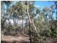 75 Tongatabu Road, Dromedary TAS 7030