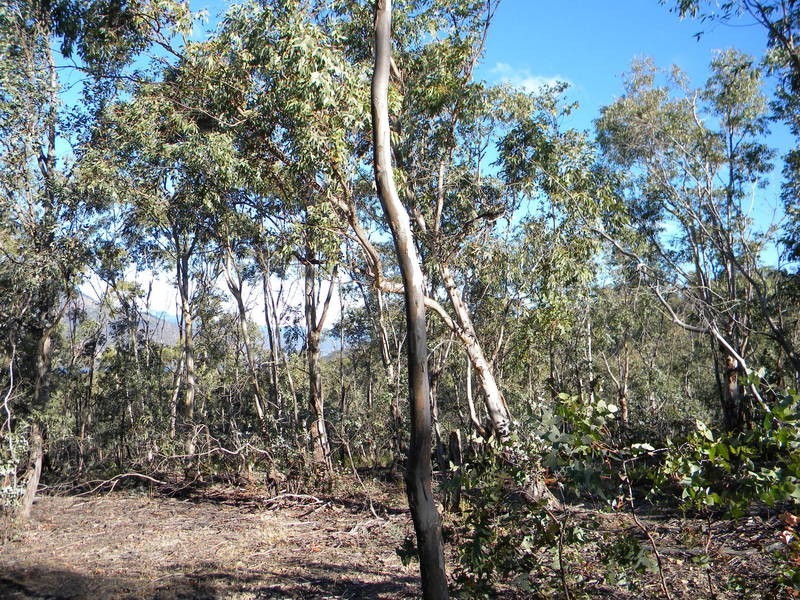 75 Tongatabu Road, Dromedary TAS 7030