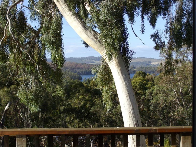 64 Manuka Road, Oyster Cove TAS 7150
