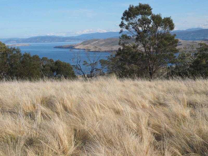 226 South Arm Road, Lauderdale TAS 7021