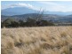 226 South Arm Road, Lauderdale TAS 7021