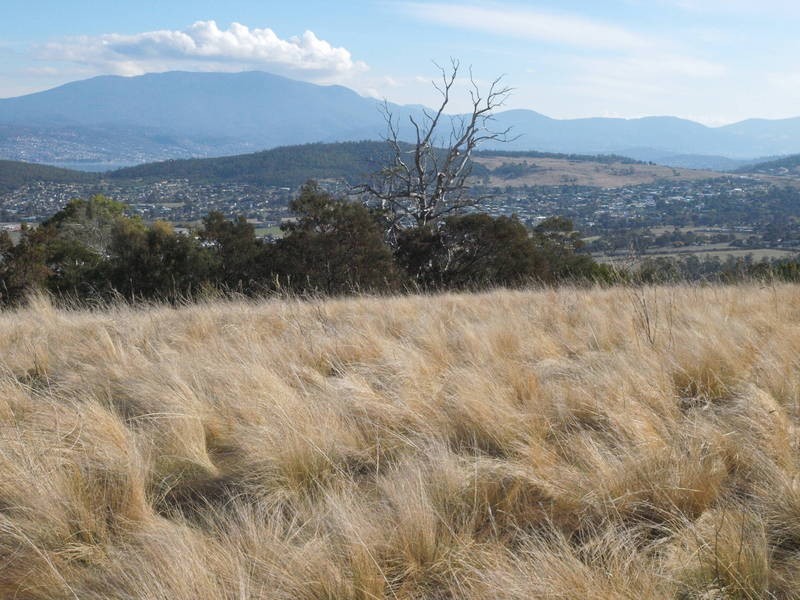226 South Arm Road, Lauderdale TAS 7021