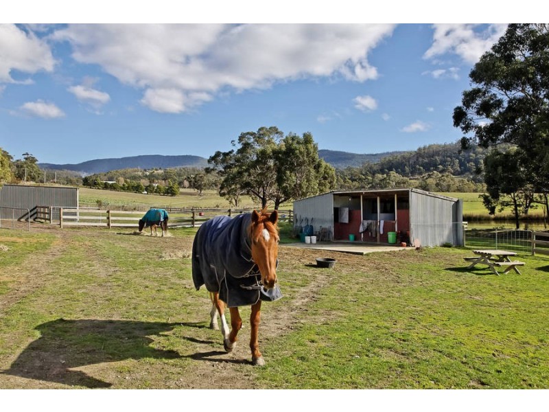 170 Van Morey Road, Margate TAS 7054