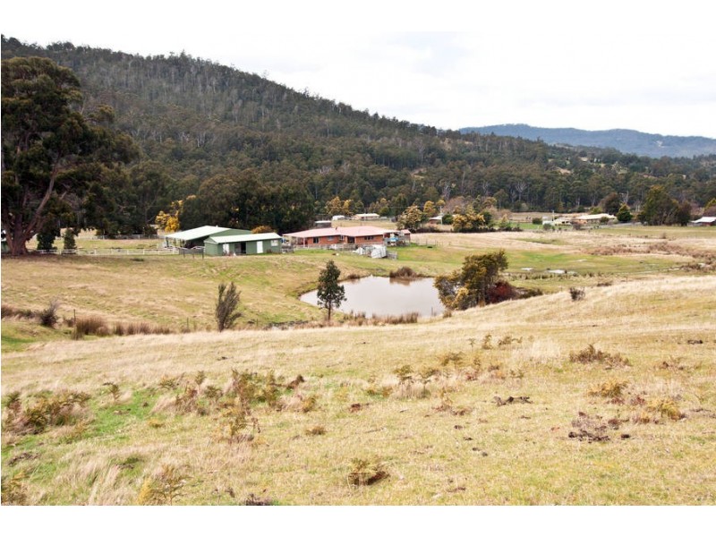 411 Crabtree Road, Crabtree TAS 7109