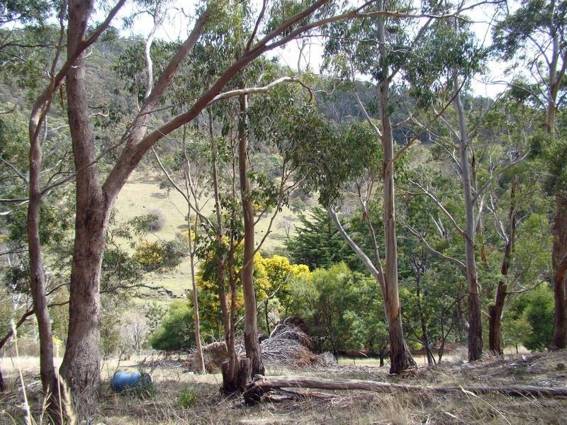 90 Brushy Creek Road, Lenah Valley TAS 7008