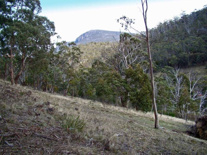 90 Brushy Creek Road, Lenah Valley TAS 7008