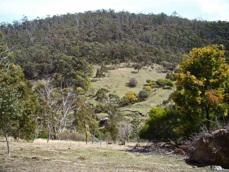90 Brushy Creek Road, Lenah Valley TAS 7008