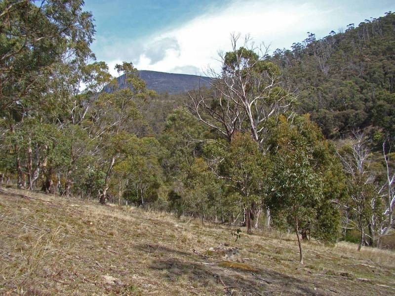 90 Brushy Creek Road, Lenah Valley TAS 7008