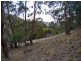90 Brushy Creek Road, Lenah Valley TAS 7008