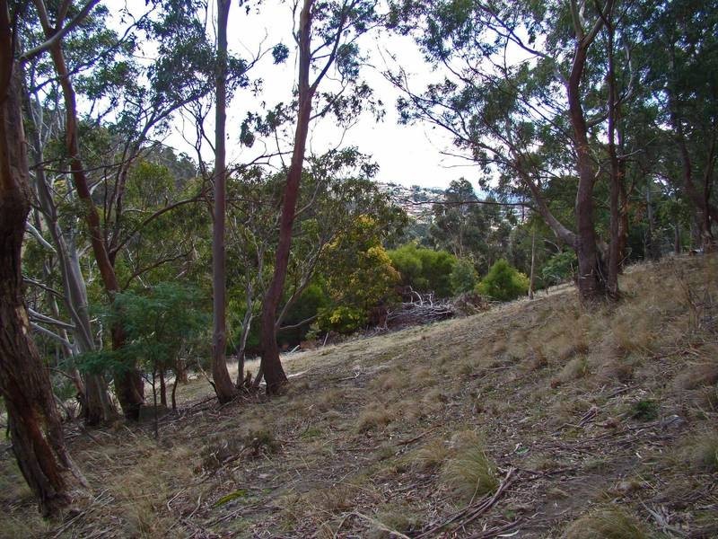 90 Brushy Creek Road, Lenah Valley TAS 7008