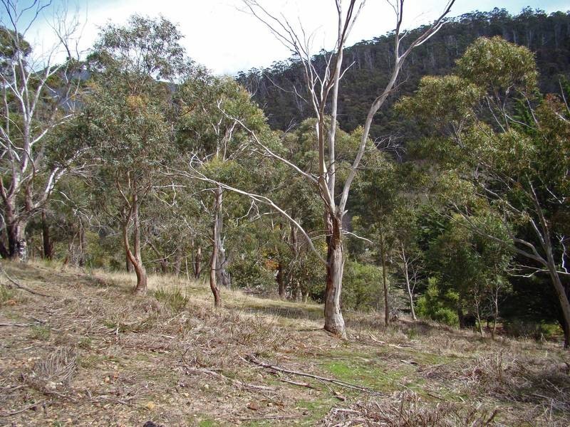 90 Brushy Creek Road, Lenah Valley TAS 7008