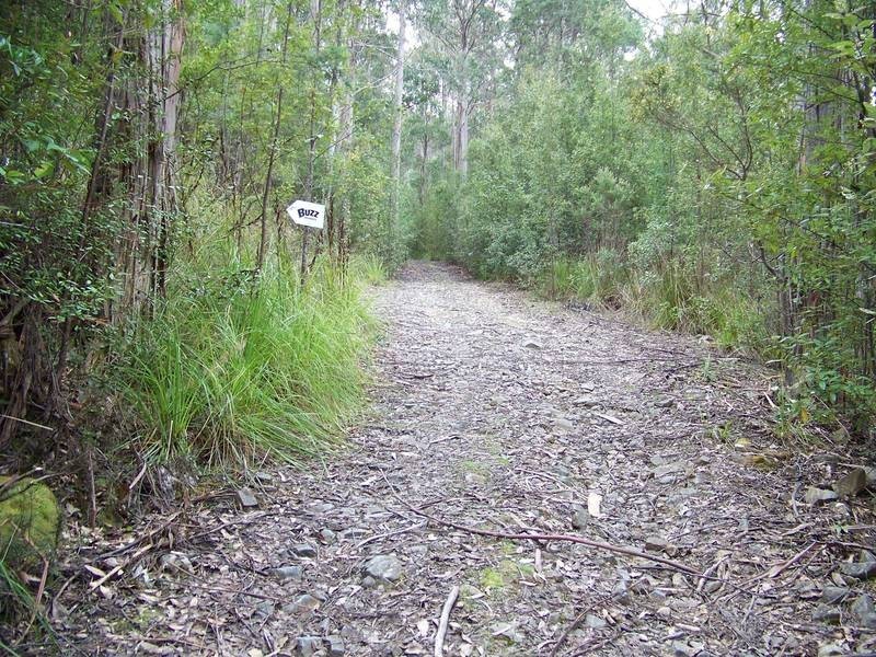 291 Guys Road, Cygnet TAS 7112