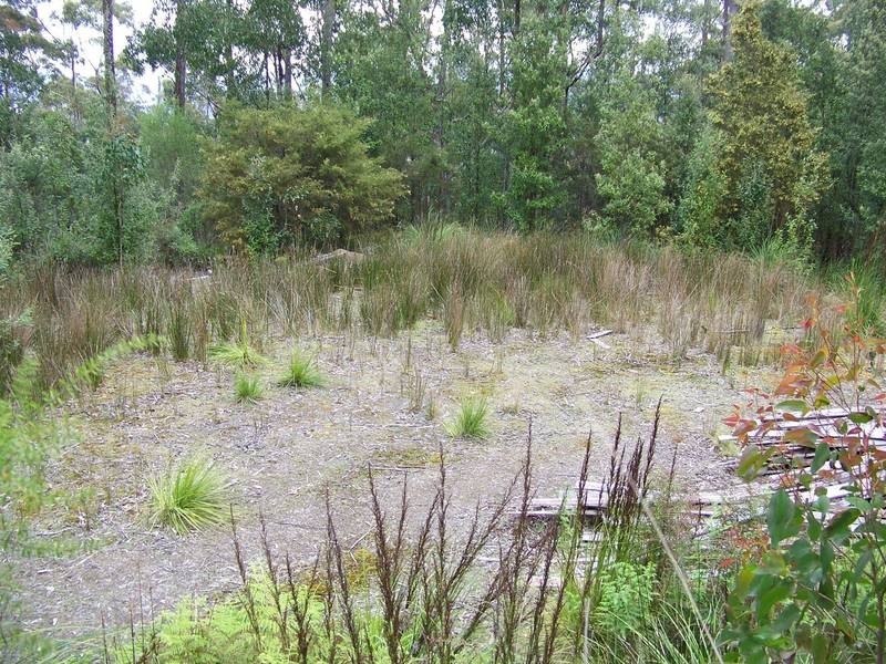 291 Guys Road, Cygnet TAS 7112