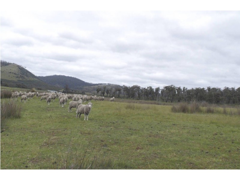 Duke Street, Buckland TAS 7190