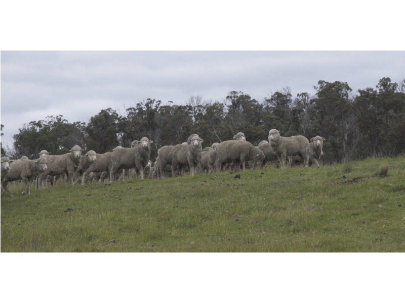 Duke Street, Buckland TAS 7190