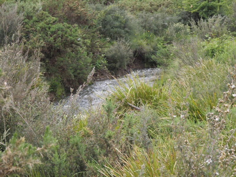 Duke Street, Buckland TAS 7190