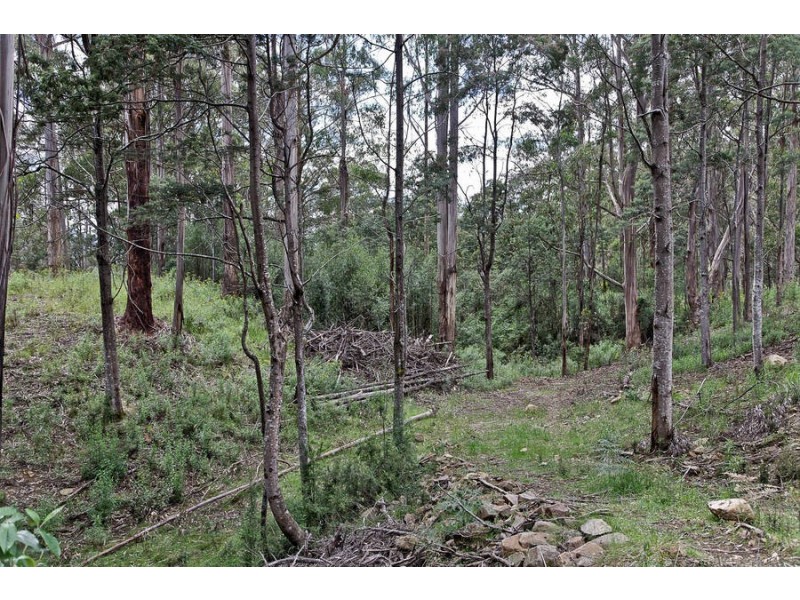 220 Pelverata Road, Sandfly TAS 7150