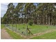 112 McKenzies Road, Leslie Vale TAS 7054