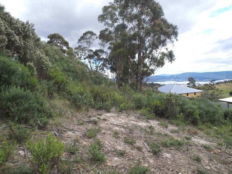 19 Woodcutters Road, Tolmans Hill TAS 7007