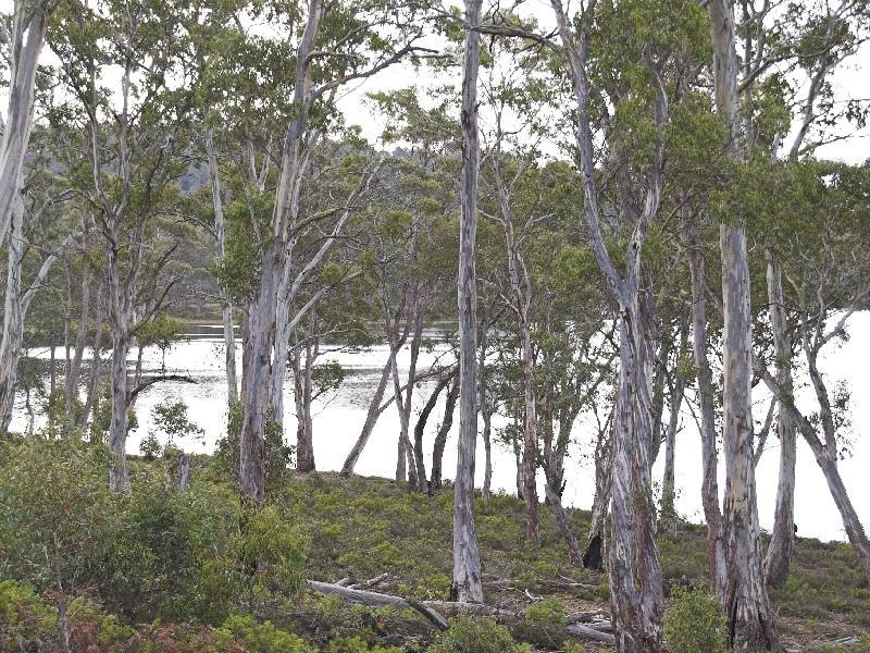 Bronte Park TAS 7140