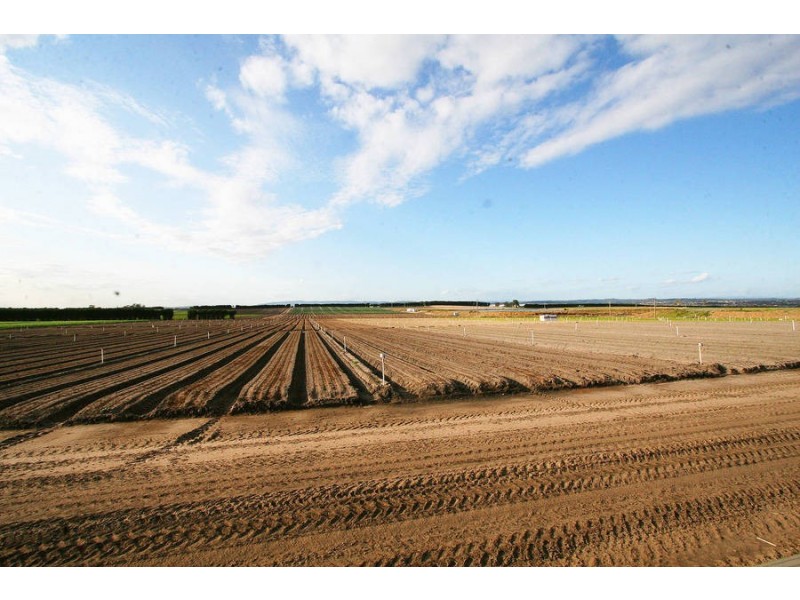 Cranbourne North VIC 3977