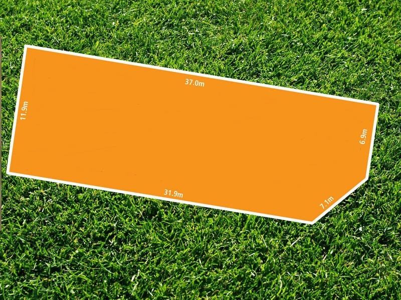 15 Molloy Court, Bell Post Hill VIC 3215