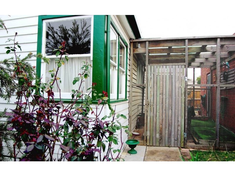 43 Maurice Street, Herne Hill VIC 3218