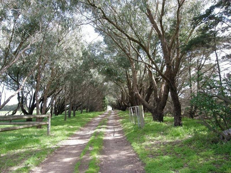 570 Bluestone School Road, Barwon Heads VIC 3227