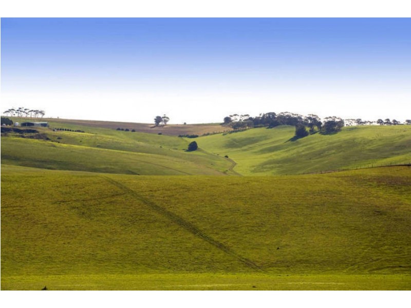 31 Exmoor Close, Highton VIC 3216