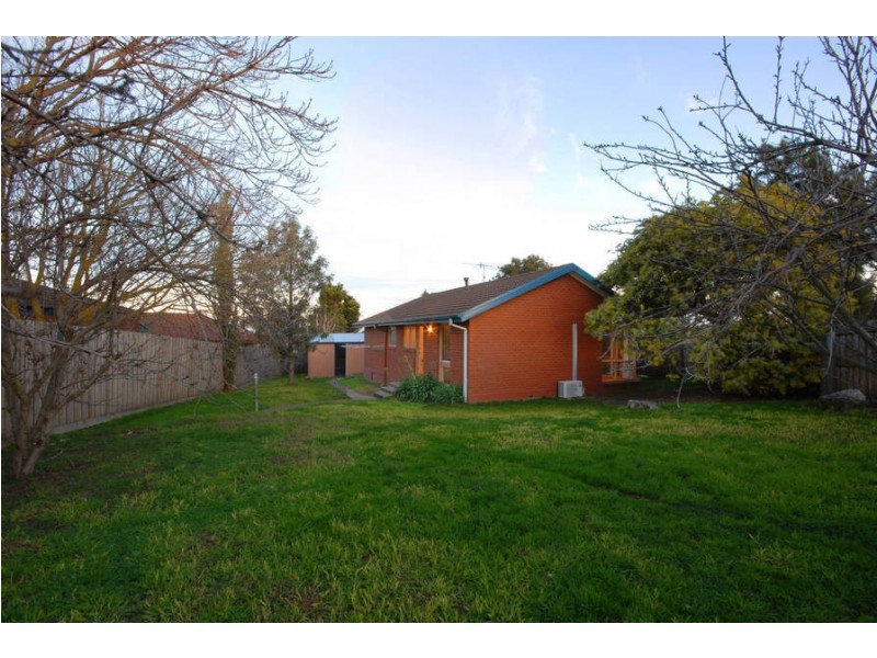 6 Apaloosa Court, Belmont VIC 3216