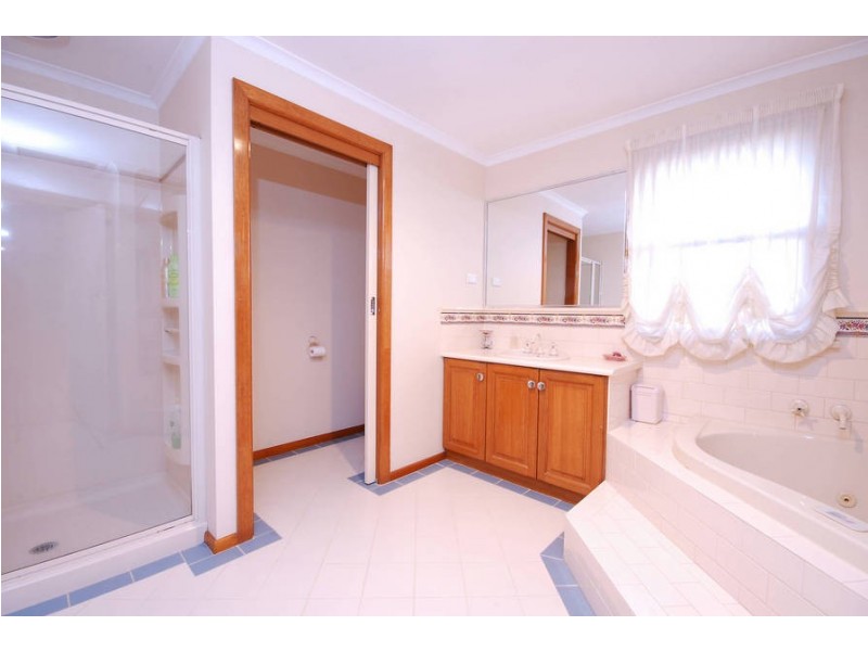 81 Mt Pleasant Road, Belmont VIC 3216