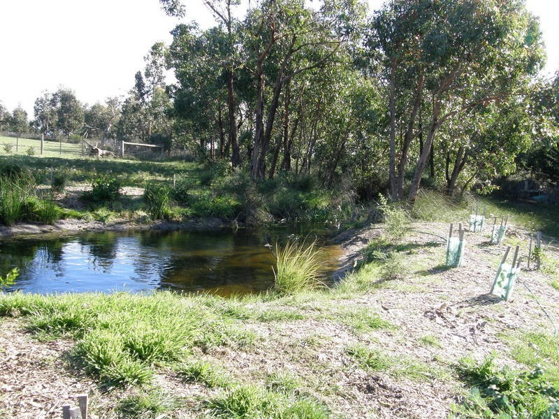 224 Coombes Road, Torquay VIC 3228