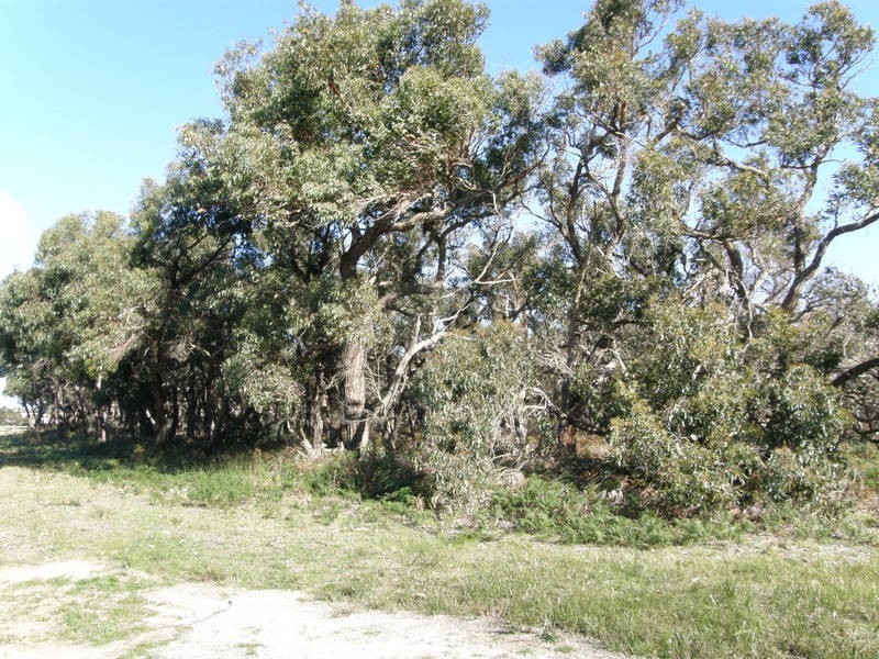 224 Coombes Road, Torquay VIC 3228