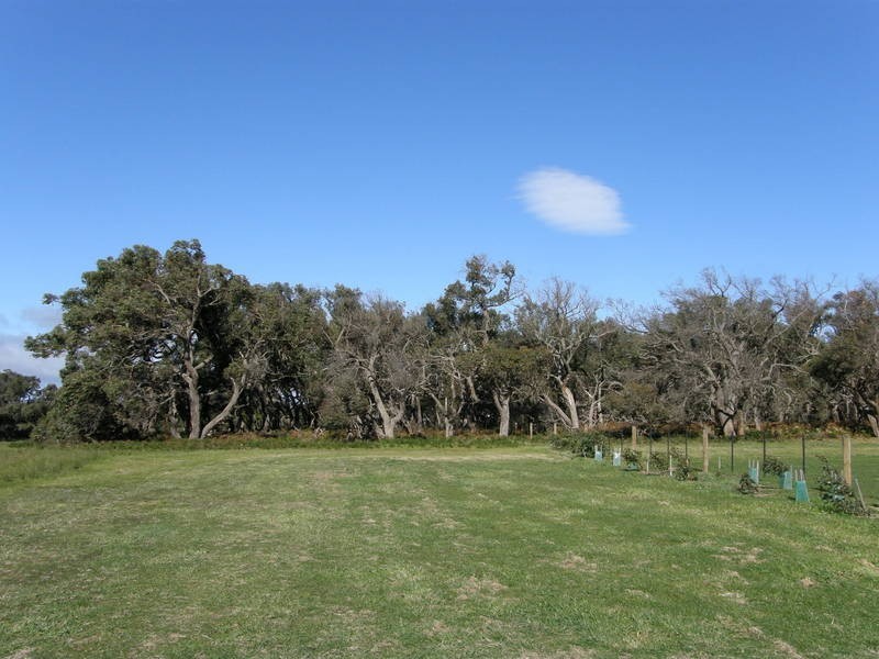 224 Coombes Road, Torquay VIC 3228