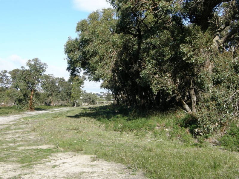 224 Coombes Road, Torquay VIC 3228
